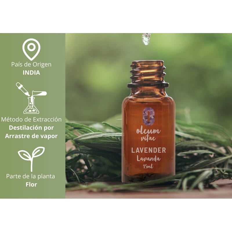 OLEUM VITAE Aceite Esencial de Lavanda. Lavandula Angustifolia. 100% Puro