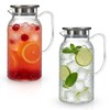 2 Pack 61 Oz BPA-Free Clear Plastic Pitchers with Lids
