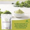 UKHealthHouse Broccoli Powder | Contains Activated Sulforaphane Supplement | Potent