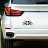 Large 210mm 'Cute Spider' Permanent Sticker Decal for Cars/Windows/Bins/Walls etc