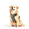 No Pull Dog Harness, Reflective Adjustable Dog Vest with Front/Back