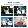 PawView Hundehalsband & Leine Set mit Smart ID Tag –