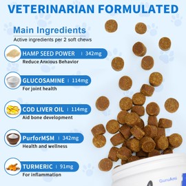 Advanced Hip and Joint Supplement for Dogs - Dog Joint Supplemen with Glucosamine, MSM, Turmeric & Chondroitin Chews with Beef Flavor (120 Count)