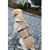 Kerbl Miami Panic Harness (Grey, Neck Circumference 48 - 64