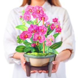 Airpark Pop Up Flower Card, 3D Paper Flowers Bouquet, Birthday, Thank You, Get Well Greeting Cards with Note Card & Envelope, Orchids