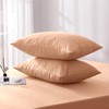 Hafaa Pillowcases 2 Pack Brushed Microfiber Peach Pillow Cases with