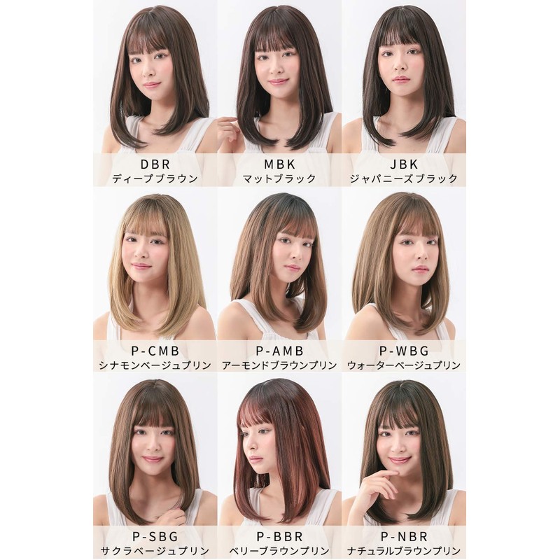 AQUADOLL wg317JBK Wig, Medium, Full Wig, Simple Midi, Black Hair,