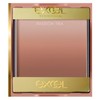 Excel Orthic Blush AB09 Passion Tea Tea Gradient