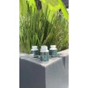 Nad + Resveratol Frasco Con 120 Capsulas De 500mg Sabor