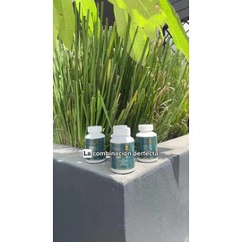 Nad + Resveratol Frasco Con 120 Capsulas De 500mg Sabor Sin Sabor