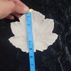 Unbranded Maple Leaf Trinket Tray Paint It Yourself Blank Ceramics