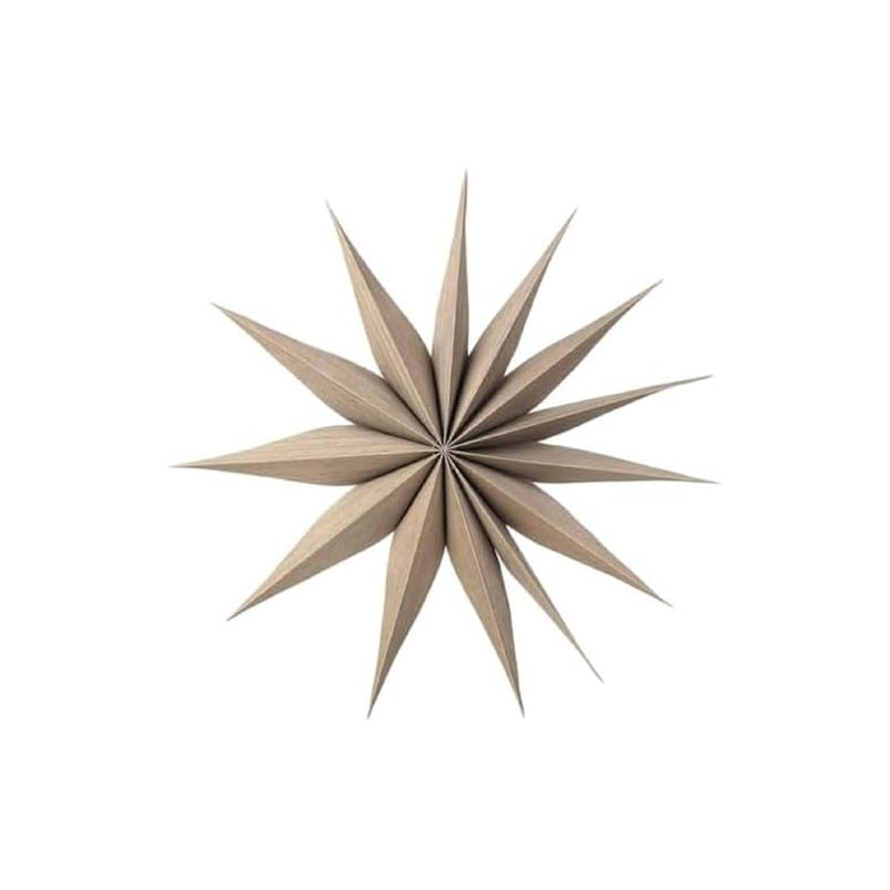 Broste Copenhagen Star.