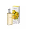 Yardley London Freesia EDT 50ml Tester, White box, No cap