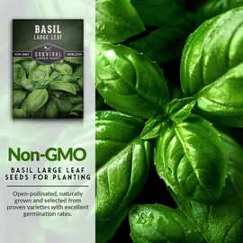 5 Packs Large Leaf Basil Seeds for Planting with Instructions to Grow Sweet Basil Plants in Your Home Vegetable Garden - Non-GMO Heirloom - Survival Garden Seeds