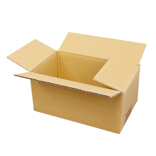 Cardboard One (50 Size) Standard Cardboard Box (Small, 240 Sheets)