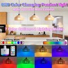HIFCTRN Battery Operated Pendant Light Set of 2,Rechargeable Hanging Light