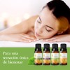 Herbolare - Paquete Bienestar 4 aceites de 5 ml. Combinación