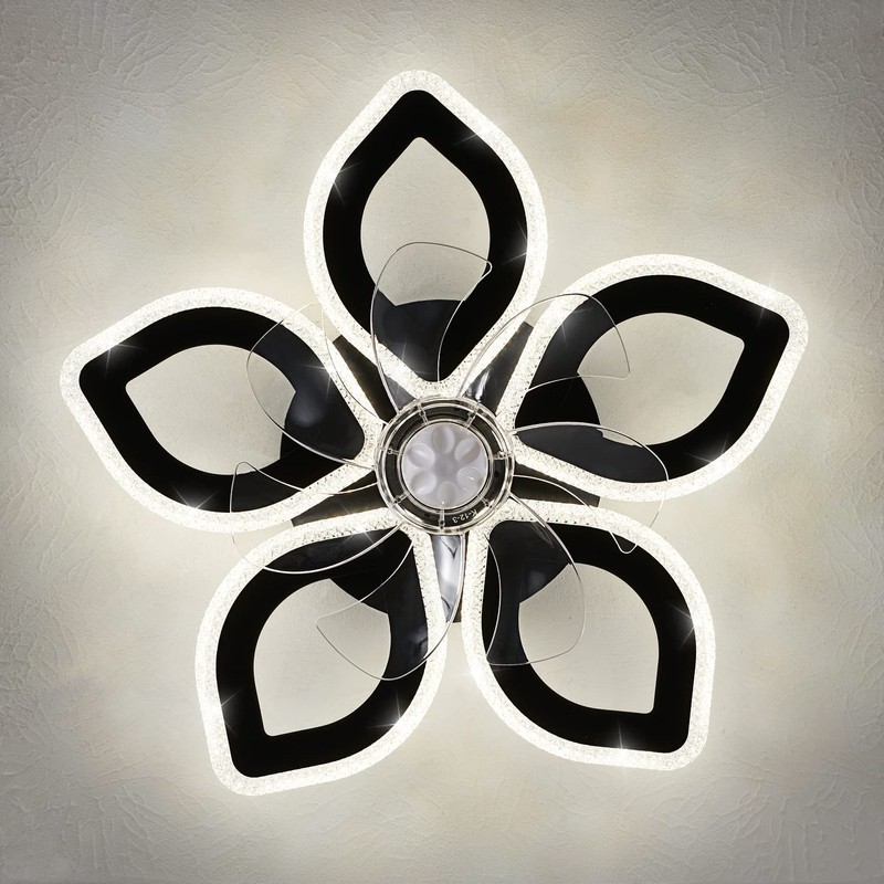 Dalouguan 21-Inch Ceiling Fan with Lights and Remote Control, Black