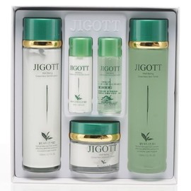Ziggot (Beauty) Meoncell E-coat Women's Basic Cosmetics Well-being Green Tea Extract Women's 3-Piece Set E-coat / 지고트(뷰티) 메온셀 이코트 여자기초화장품 웰빙녹차추출물 여성 3종세트이코트