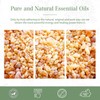 PHATOIL Frankincense (Incense) 100ml Aroma Oil Essential Oil Pure Oil