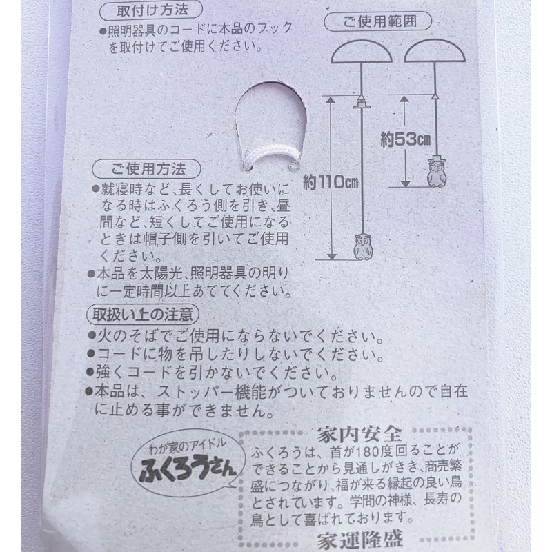 Light Up Switch Cord - Owl (Transparent Skeleton), 20.9 -