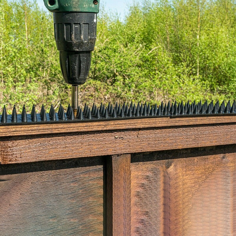 10Pcs Anti Bird Thorn Fence Wall Spike Repellent Nail Deterrent