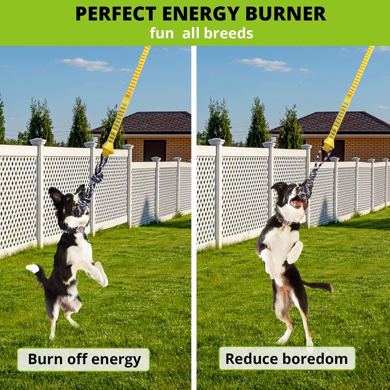 Dog Hanging Bungee Tug Toy: Interactive Tether Tug-of-War for Pitbull