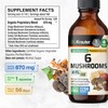 BIO KRAUTER 6 Mushrooms Supplement 6-in-1 - Lions Mane, Shiitake,Turkey