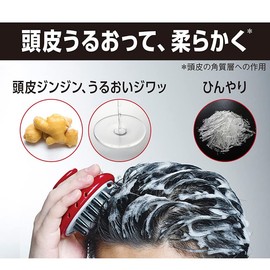 Pro Tec Scalp Stretch Shampoo