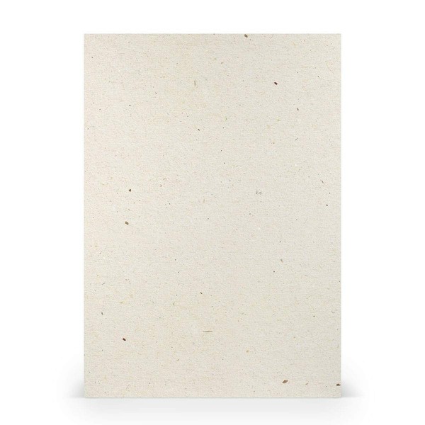 PAPERADO 25 x Craft Card DIN A4 - Terra Vanilla Cream Beige 220 g/m² Coloured Card - Thick Craft Paper in 29.7 x 21 cm Painting, Craft Perfect Craft Cardboard