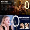 Ring Light with Stand & Phone Holder Kit - 19"