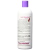 #1 All Systems Clearly Illuminating Shampoo-16oz