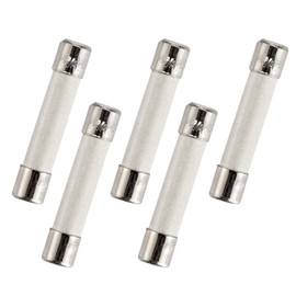 Microwave Fuse 20 Amp 250V Slow-Blow, Universal Ceramic Fuse Replacement for GE WB27X10388, Whirlpool, Kenmore, and Other Microwaves, 6mm x 30mm (5-Pack)