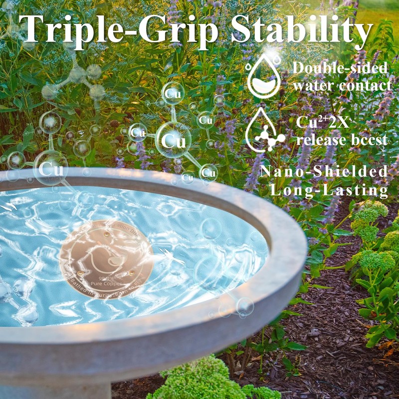 Fashtour Copper Bird Bath Disks (2-Pack), 4.2" Large Surface, 20%