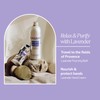 L'OCCITANE - Bubble Bath Lavender from Haute Provence - 500
