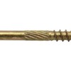 Jake Sales #8 x 1-3/4" Gold Star Wood Screw Torx/Star