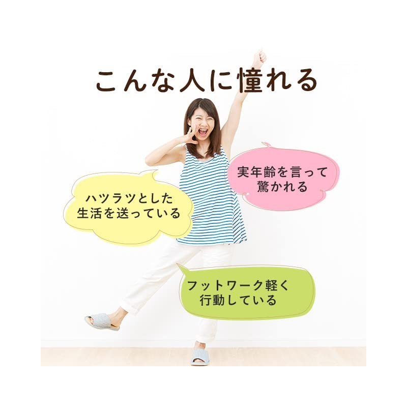 オーガランド (ogaland) 酪酸菌 (90粒 / 約3ヶ月分) 酪酸菌配合数 1粒あたり 約1200万個配合 (体内フローラ/トイレサポート)