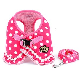 SMALLLEE_LUCKY_STORE No Pull Polka Dot Small Dog Cat Harness with Crown, Soft Mesh Padded Vest Harness and Leash Set for Girls