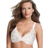 Playtex womens Love My Curves Feel Gorgeous Underwire Full Coverage