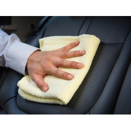 ForceField® Leather Cleaner and Conditioner - 22oz