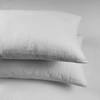 Set of 2 Luxton Waterproof Pillow Protector, Terry Cotton Toweling