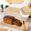 Ajrwiiy Sourdough Bread Box - Proofing Box for Sourdough Bread