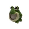 Ceramic Sponge/Scrubbie Holder (Frog)