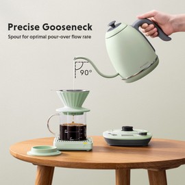 BUYDEEM K821 Electric Gooseneck Kettle with Variable Temperature Control, Pour Over Coffee Tea Kettle, Durable 18/8 Stainless Steel, Auto Keep Warm & Built in Brewing Timer, 0.8L