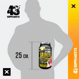 Ganador Advance Gainer Fresa 2 Kg 43 Supplements
