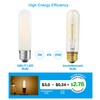AIELIT T10/T30 Frosted LED Light Bulb 25 Watt Equivalent, Warm