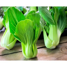 SeedsUP - 300+ Seeds Cabbage Bok Choy Chinese - Vegetable Green