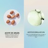 Hask - Aceite de argán curativo para tratamiento de brillo