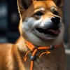 Arlinens Slip Lead For Dogs,Collar Dog Training Lead,1.6m Lightweight &