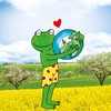 Frosch Raspberry Universal Cleaner 750 ml